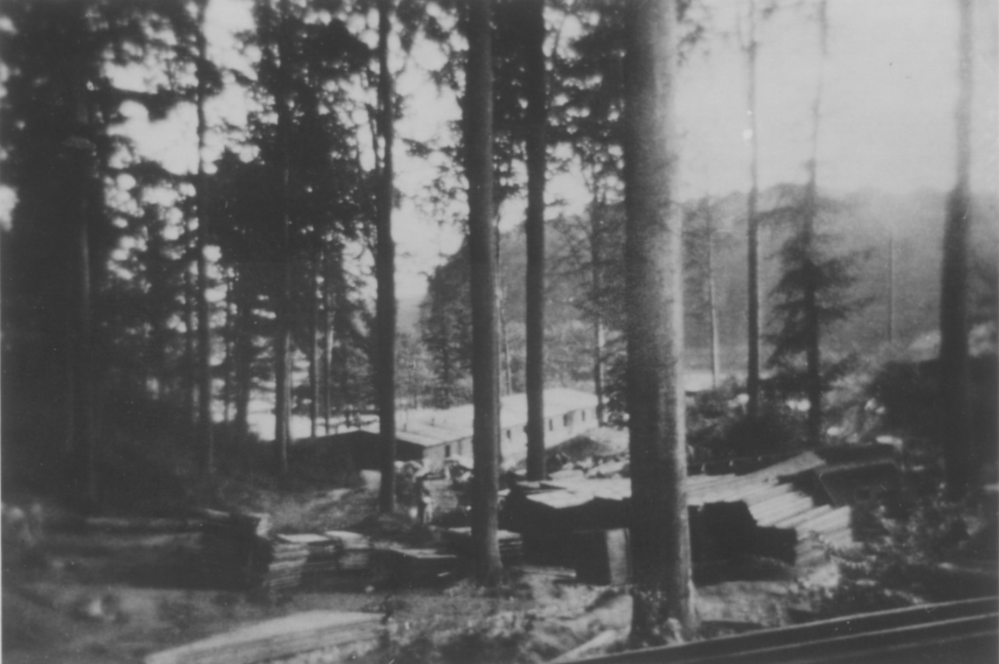 You can see stacks of wooden boards lying under trees. In the background you can see an elongated, half-built barrack.