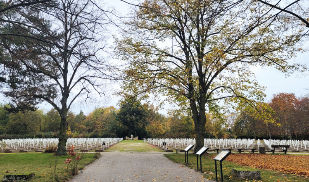 Das Farbfoto zeigt den heutigen Ehrenfriedhof in Gardelegen. Eine breite Allee führt zwischen zwei großen Gräberfeldern mit weißen Holzkreuzen hindurch. Bäume mit herbstlich gefärbtem Laub säumen den Weg, und Infotafeln stehen am Rand. Die Anlage wirkt ruhig, gepflegt und würdevoll.