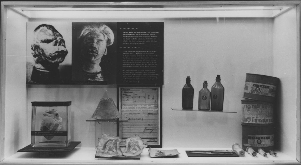 Eine historische Ausstellungsvitrine mit Objekten aus dem Konzentrationslager Buchenwald. In der Vitrine sind mehrere grausame Exponate ausgestellt: Ein konserviertes menschliches Herz in einem Glasgefäß (links unten), ein kleiner Lampenschirm aus menschlicher Haut, tätowierte Hautstücke, ein präparierter menschlicher Kopf mit Haaren (oben mittig auf einem Foto), medizinische Flaschen, drei Zyklon-B-Dosen mit Warnaufschrift "Giftgas!" (rechts gestapelt) sowie mehrere Spritzen. Die Ausstellung illustriert die pseudowissenschaftlichen und menschenverachtenden Praktiken der Nationalsozialisten im Lager. Die Objekte stehen symbolisch für medizinische Experimente, Mord und das industrialisierte Töten im Holocaust.