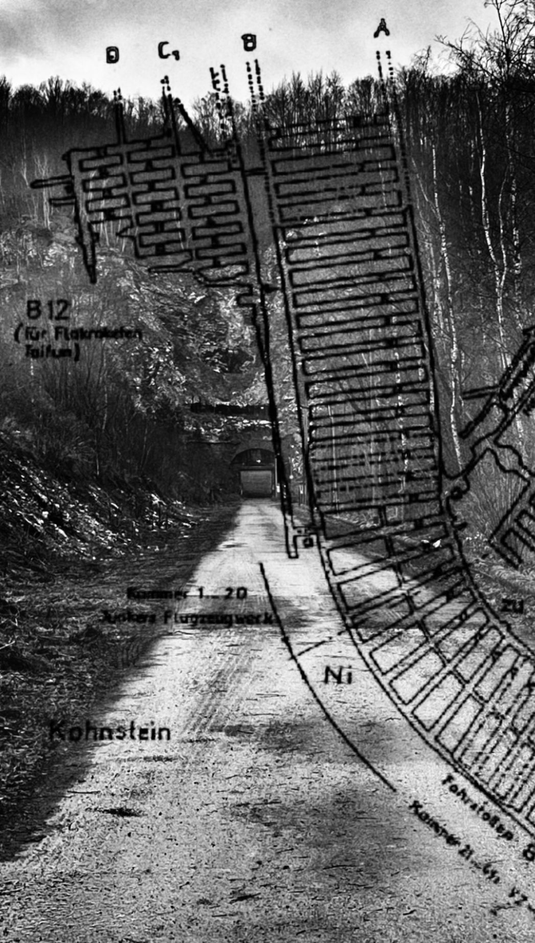 Schwarz-weiß-Fotografie eines Waldwegs, der auf einen Tunneleingang im Berg zuführt; darüber ist eine historische technische Zeichnung eines unterirdischen Stollensystems überlagert, vermutlich ein Lageplan des Kohnstein-Stollens bei Nordhausen.