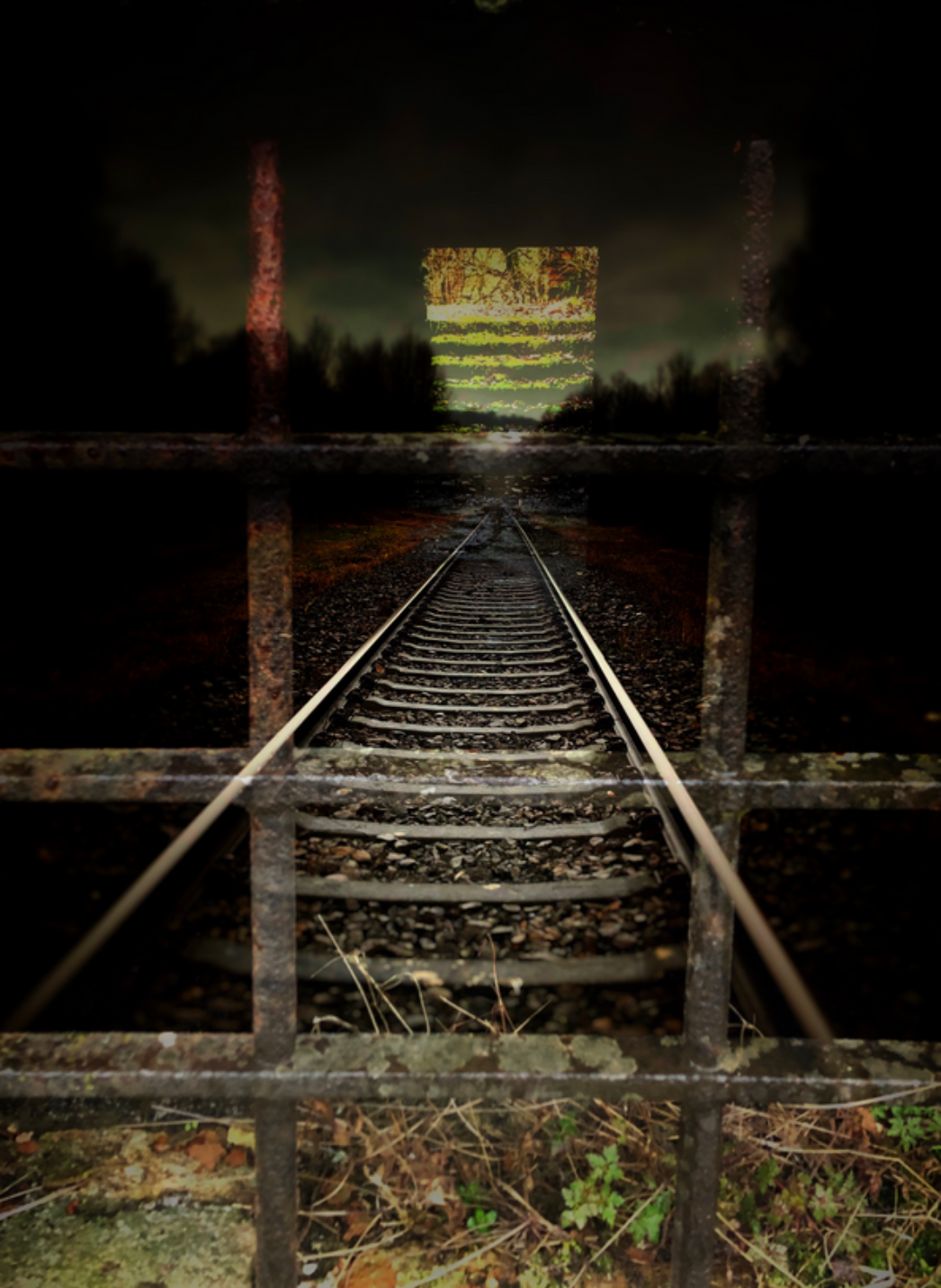 Doppelbelichtetes Bild mit Eisenbahnschienen hinter einem Gitter: Die rostigen Gitterstäbe im Vordergrund lassen die Schienen wie durch ein Gefängnisfenster erscheinen. Am Horizont leuchtet eine zweite Bildspur mit grünen Streifen – möglicherweise ein Fenster mit Vorhängen oder Lichtreflexen im Wald – und kontrastiert die düstere Atmosphäre mit einem Hauch von Hoffnung.