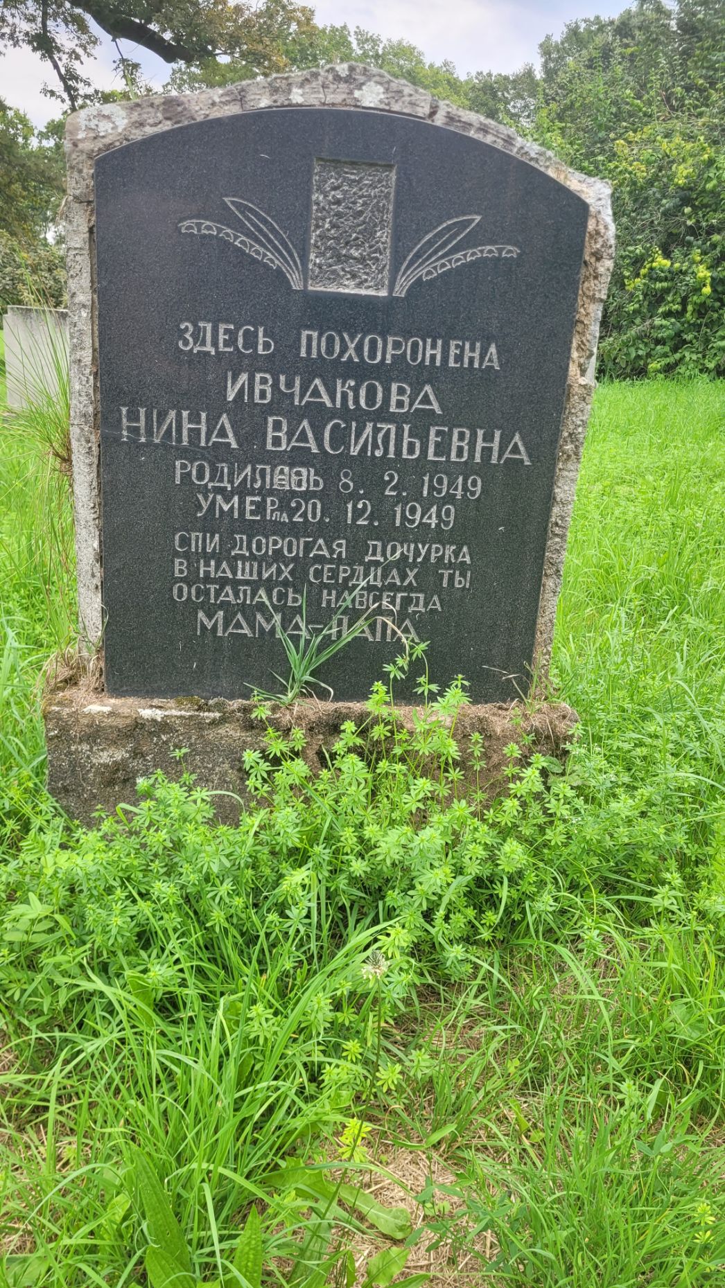Aufrechter Grabstein aus dunklem Stein mit geschwungener Oberkante, eingefasst von einem helleren, groben Rand. Oben befindet sich eine leere rechteckige Vertiefung, flankiert von eingravierten floralen Motiven. Darunter steht eine Inschrift in kyrillischer Schrift mit Name sowie Geburts- und Sterbedatum eines Kindes aus dem Jahr 1949 und einer kurzen Gedenkzeile. Der Grabstein steht in einer Wiese mit hohem Gras und Pflanzen, im Hintergrund sind Bäume und Sträucher zu sehen.