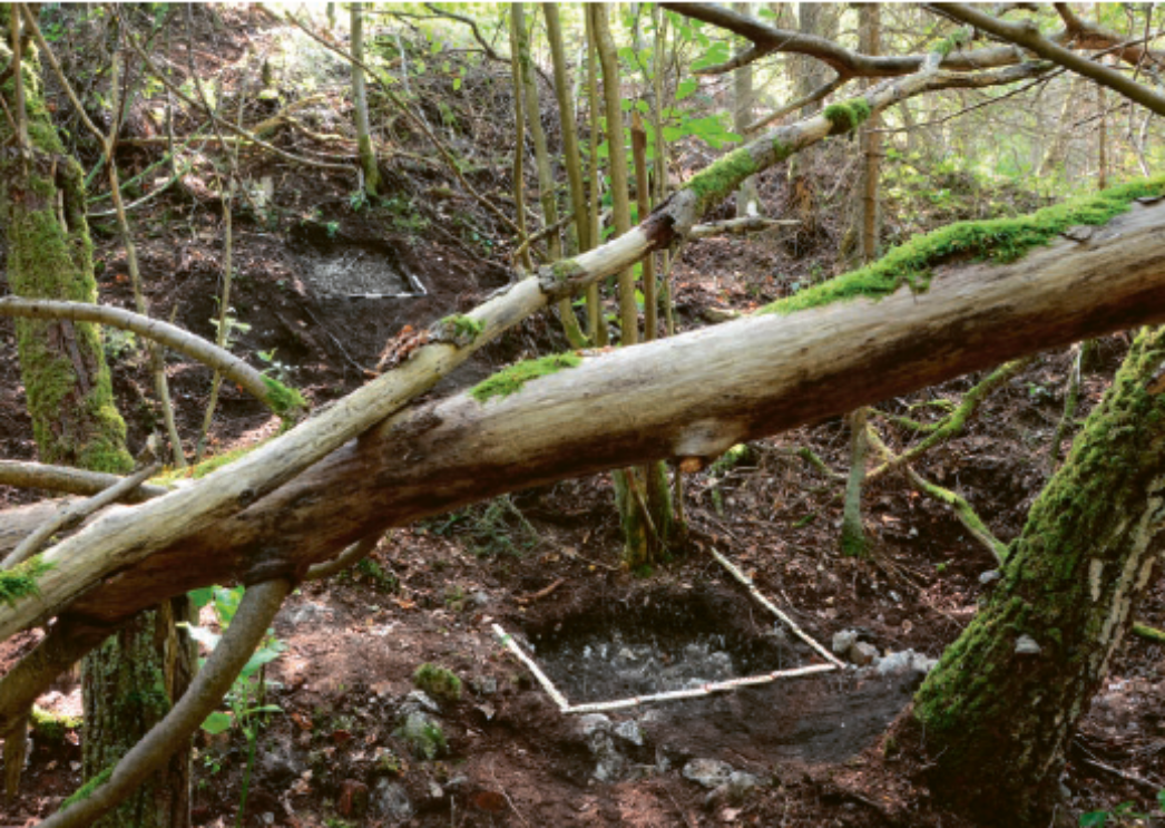 Fotografie eines bewaldeten Hanges mit archäologischer Grabungsstelle. Zwischen Bäumen und umgestürzten, mit Moos bewachsenen Stämmen ist eine rechteckig markierte Untersuchungsfläche im Boden zu sehen.