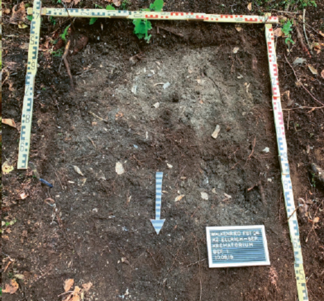 Archäologische Grabungsfläche im Waldboden, rechteckig mit Messlatten markiert. In der freigelegten Erdschicht sind helle Asche- und Materialreste sichtbar; ein Pfeil markiert eine Stelle. Daneben liegt eine Tafel mit der Beschriftung zur Grabung im Bereich des ehemaligen Krematoriums.
