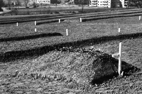 Blick auf den Ehrenfriedhof