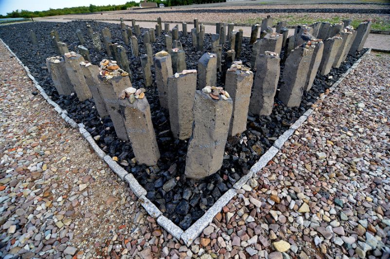 Columnar, waist-high stones set in a black siltstone field. On the top of the stones were deposited sporadically small stones